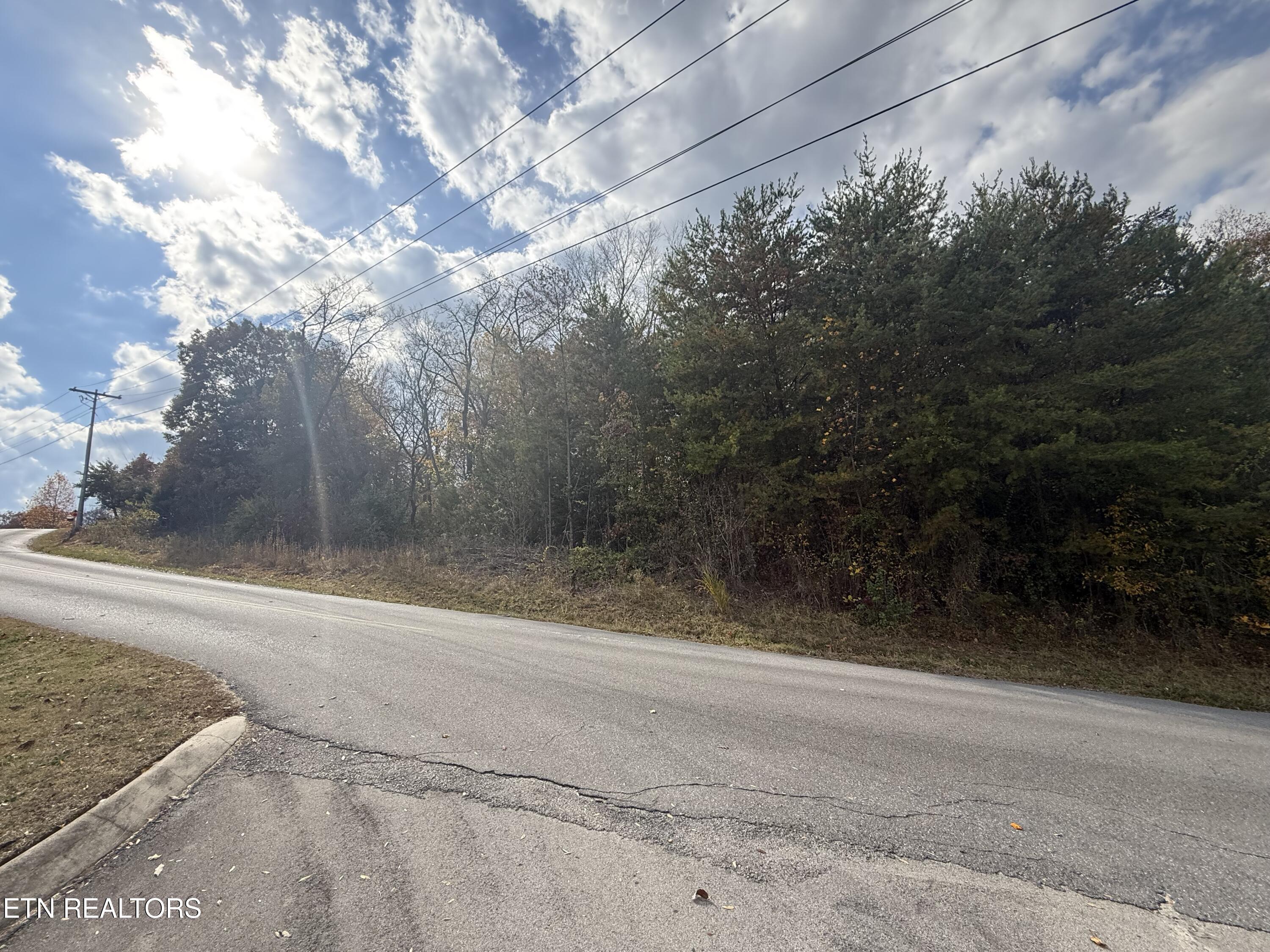 Nina Delozier Road Maryville, TN 37804 - Photo 22 of 29 IMG_8292