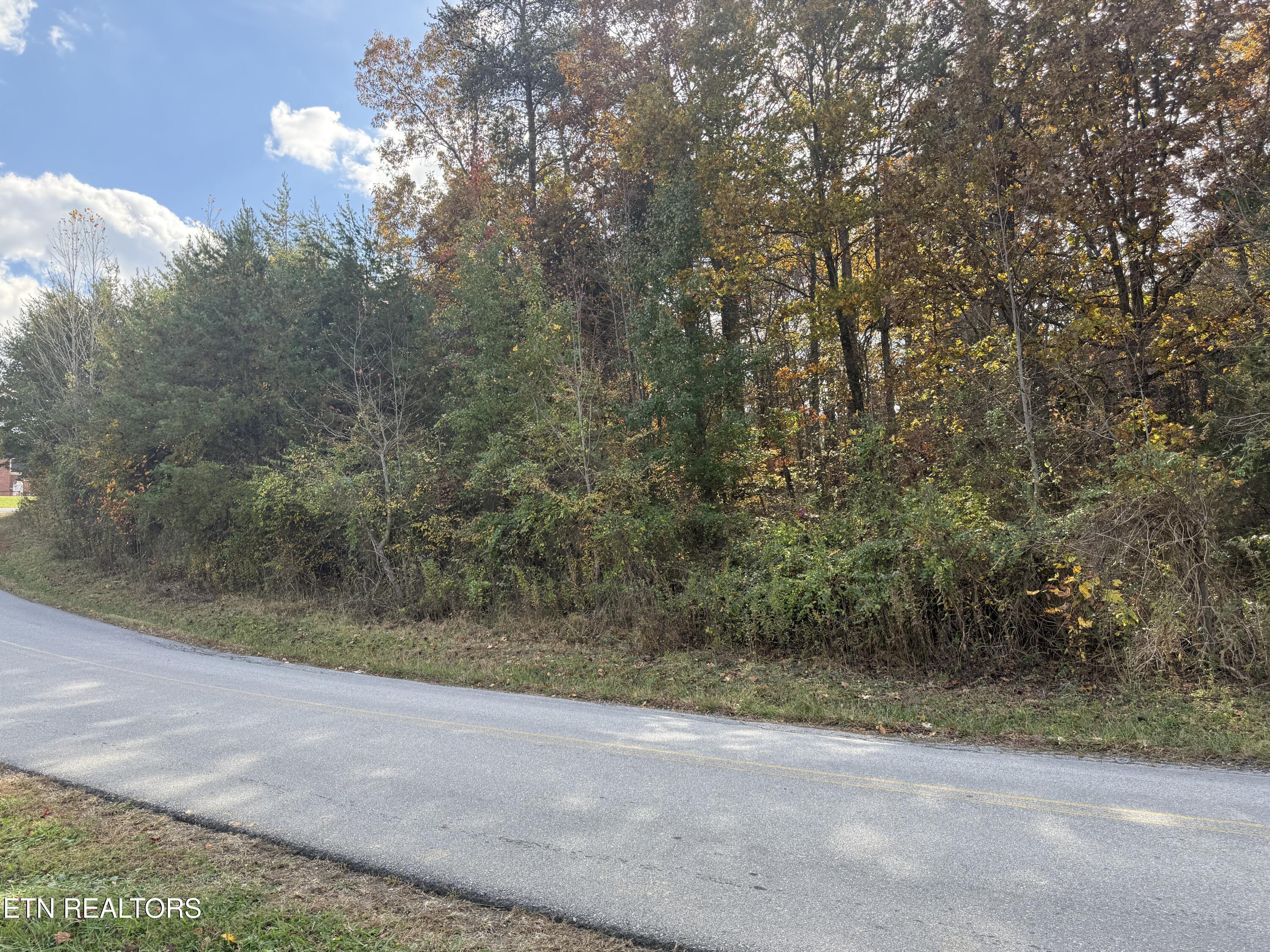 Nina Delozier Road Maryville, TN 37804 - Photo 4 of 29 IMG_8311