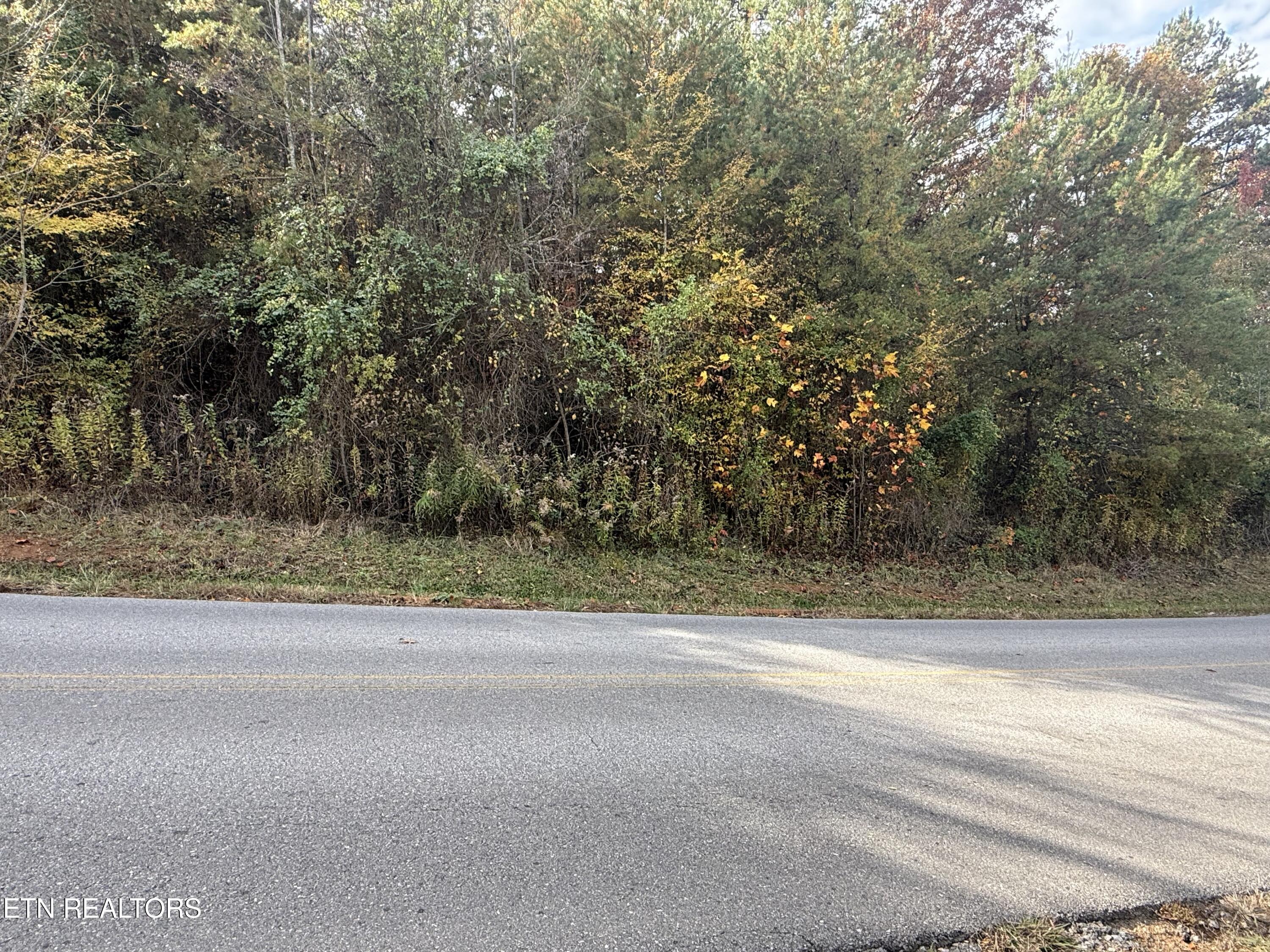 Nina Delozier Road Maryville, TN 37804 - Photo 6 of 29 IMG_8308