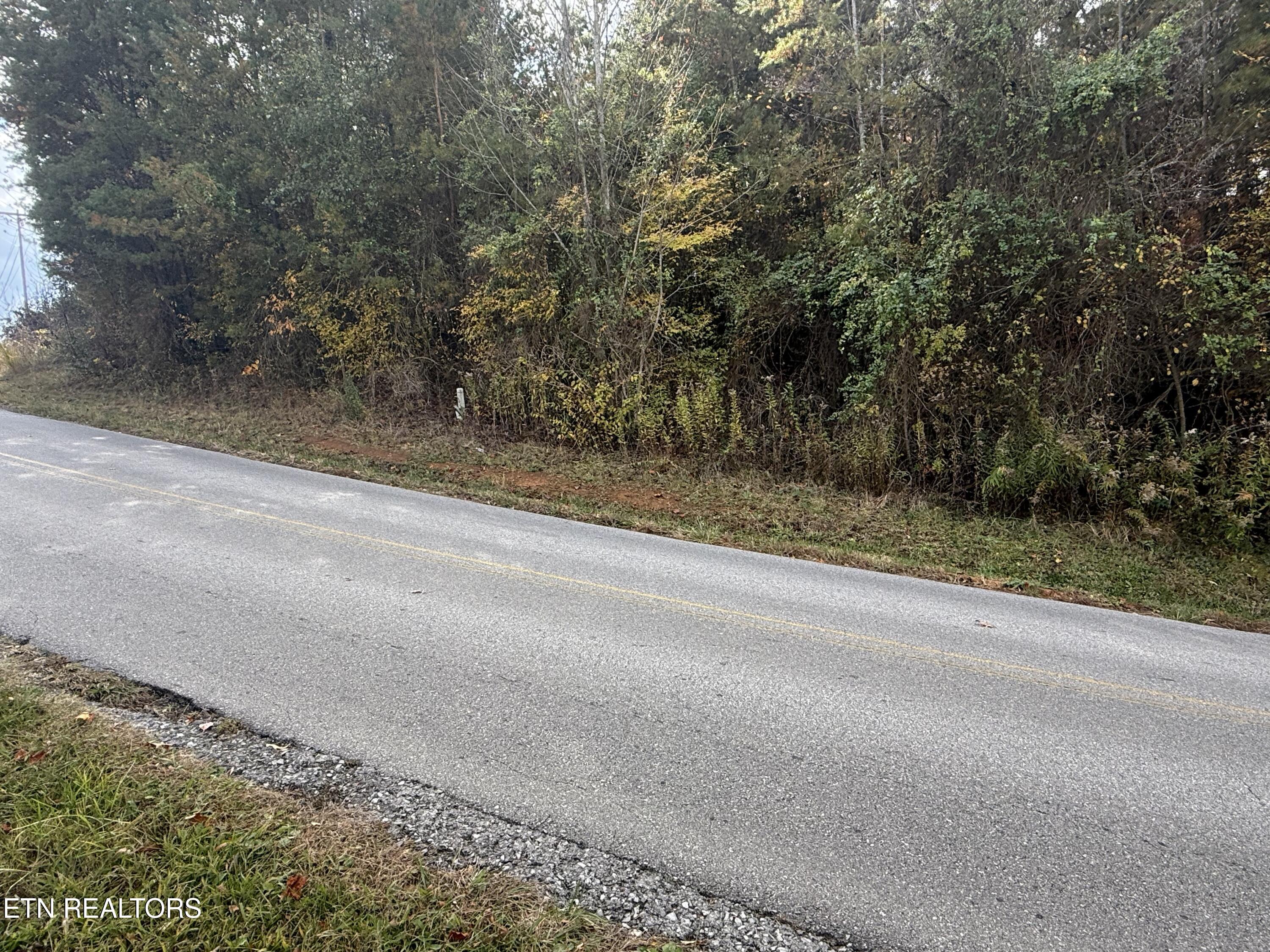 Nina Delozier Road Maryville, TN 37804 - Photo 7 of 29 IMG_8307