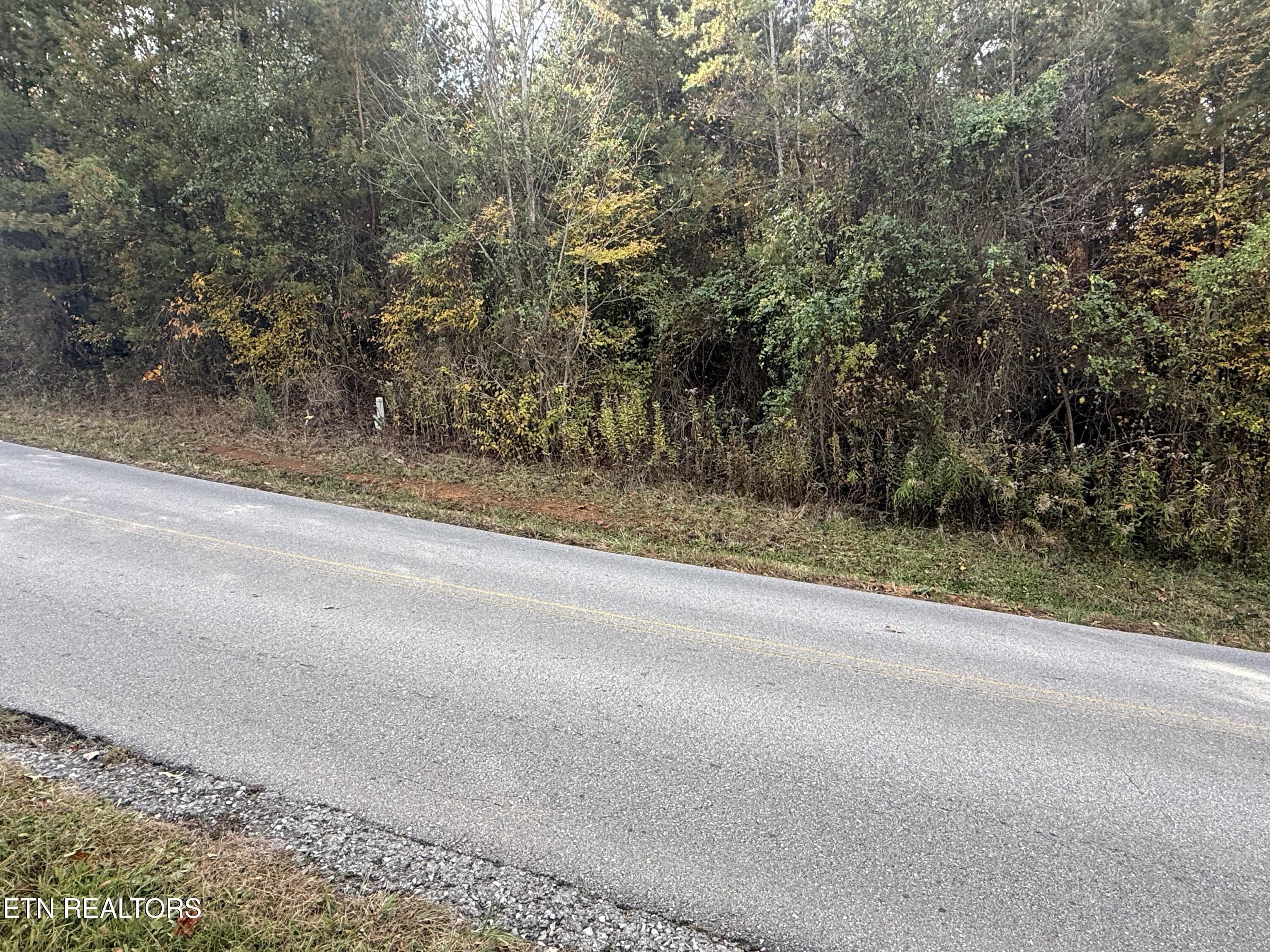 Nina Delozier Road Maryville, TN 37804 - Photo 8 of 29 IMG_8306