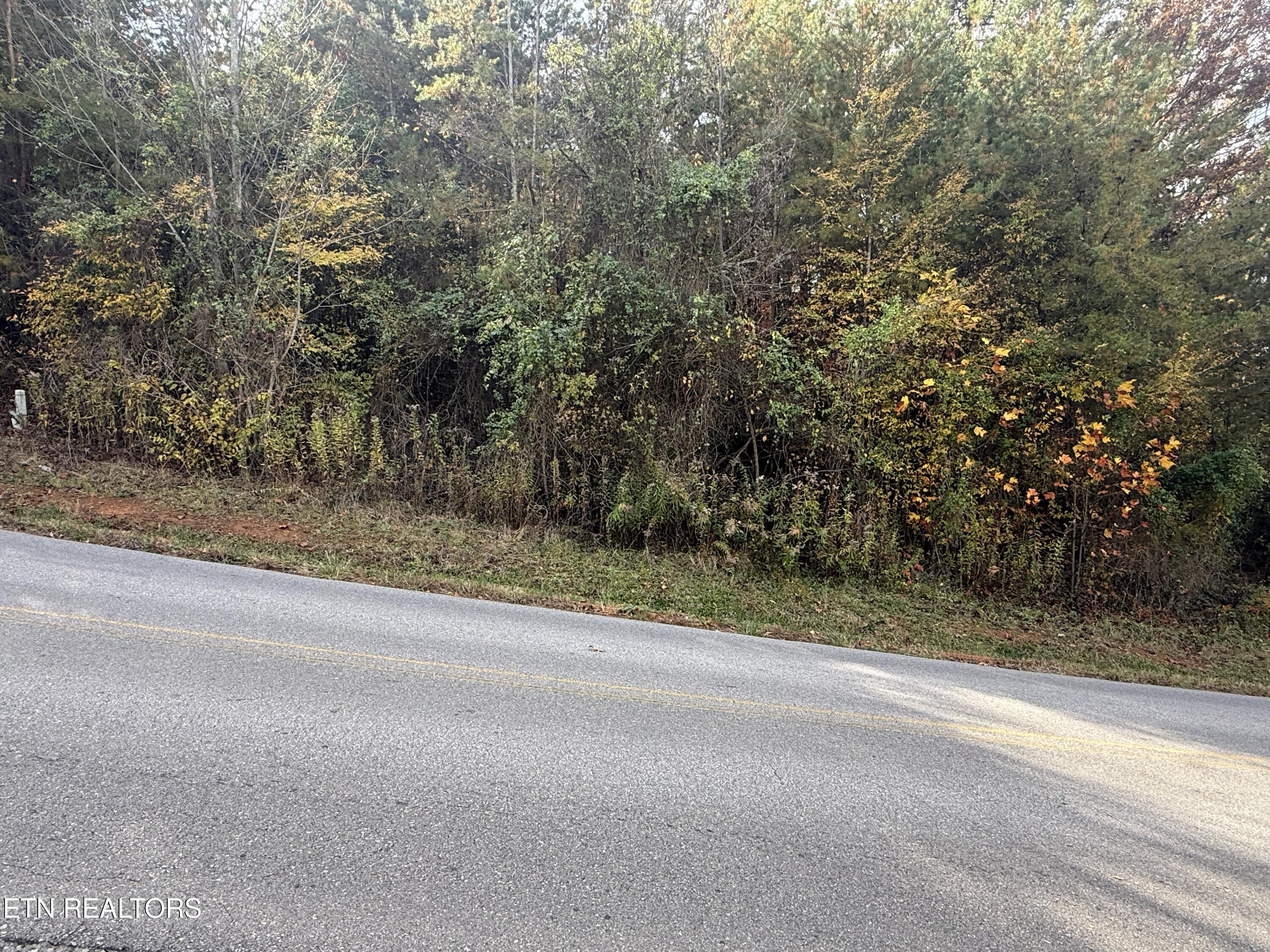 Nina Delozier Road Maryville, TN 37804 - Photo 9 of 29 IMG_8305