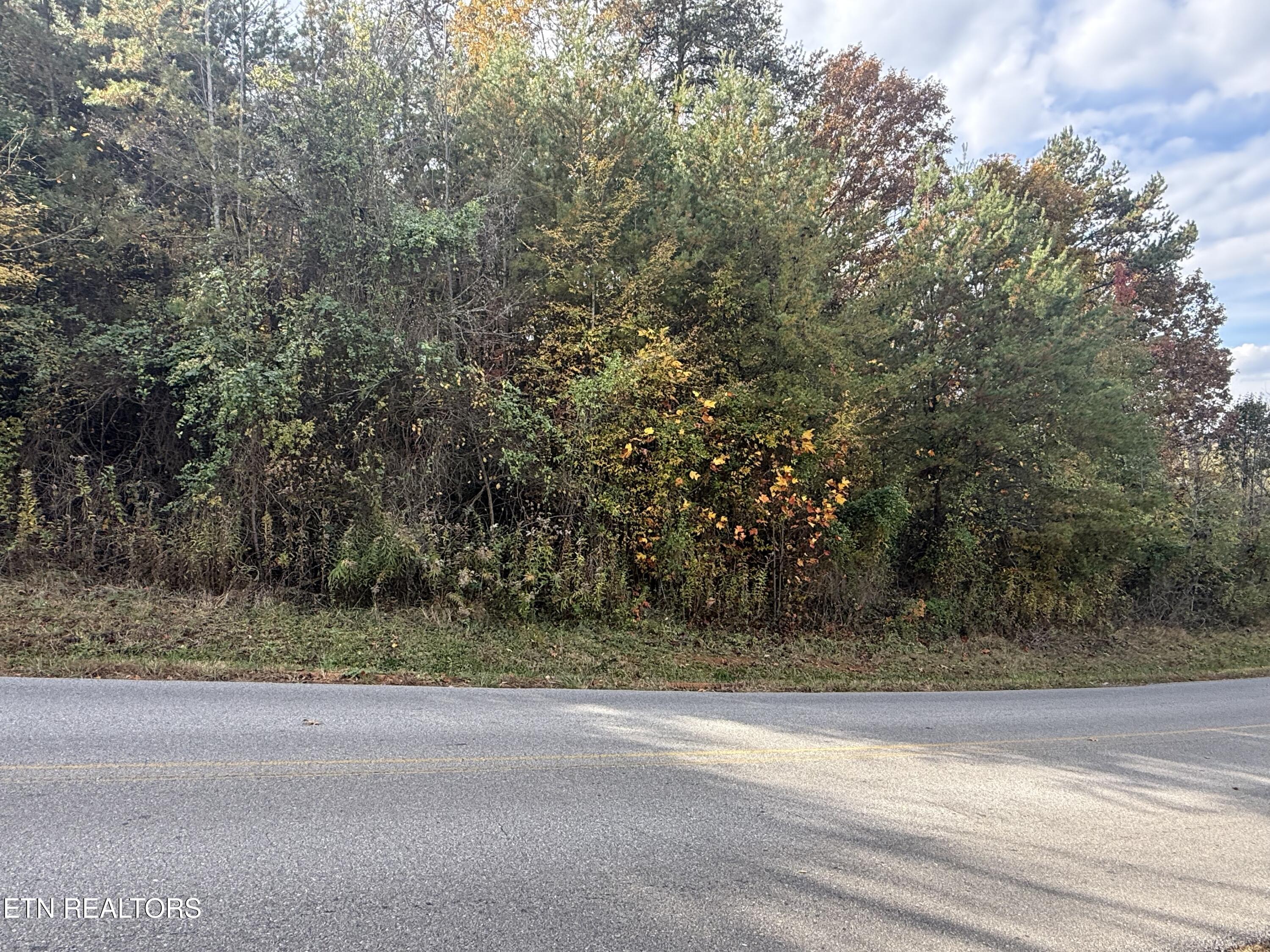 Nina Delozier Road Maryville, TN 37804 - Photo 10 of 29 IMG_8304