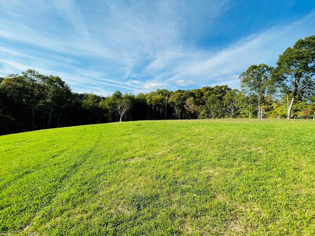 2827 Iron Ridge Road Galax, VA 24333 - Photo 44 of 55 Gallery Image 44