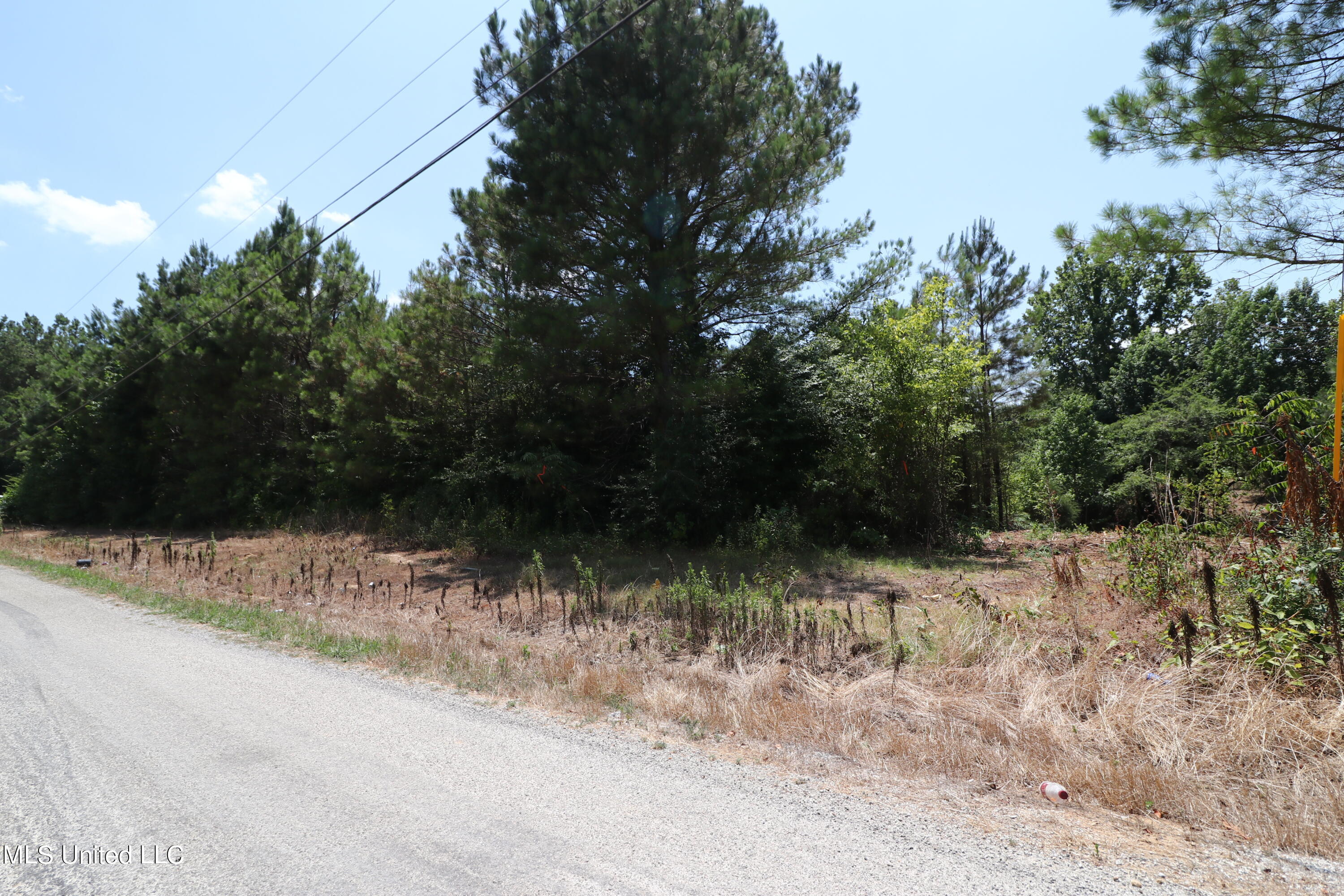 2105 Alberson Road Byhalia, MS 38611 - Photo 4 of 6 IMG_3349