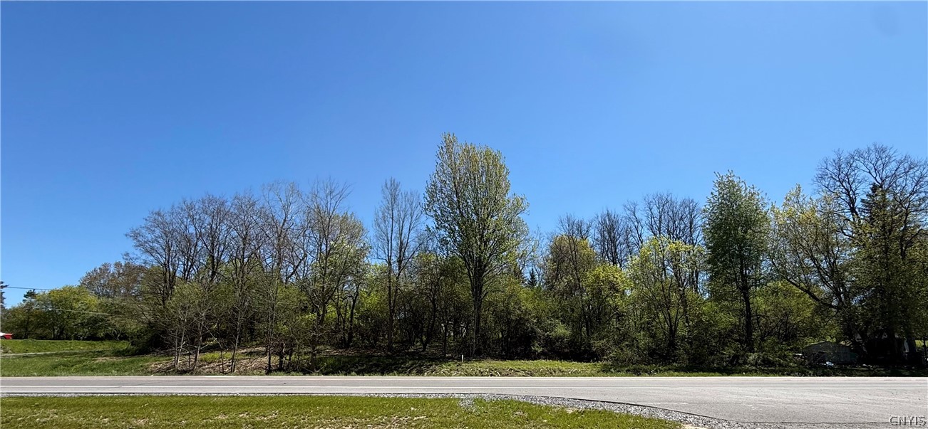 12 F Nys Route Dexter, NY 13634 - Photo 3 of 10