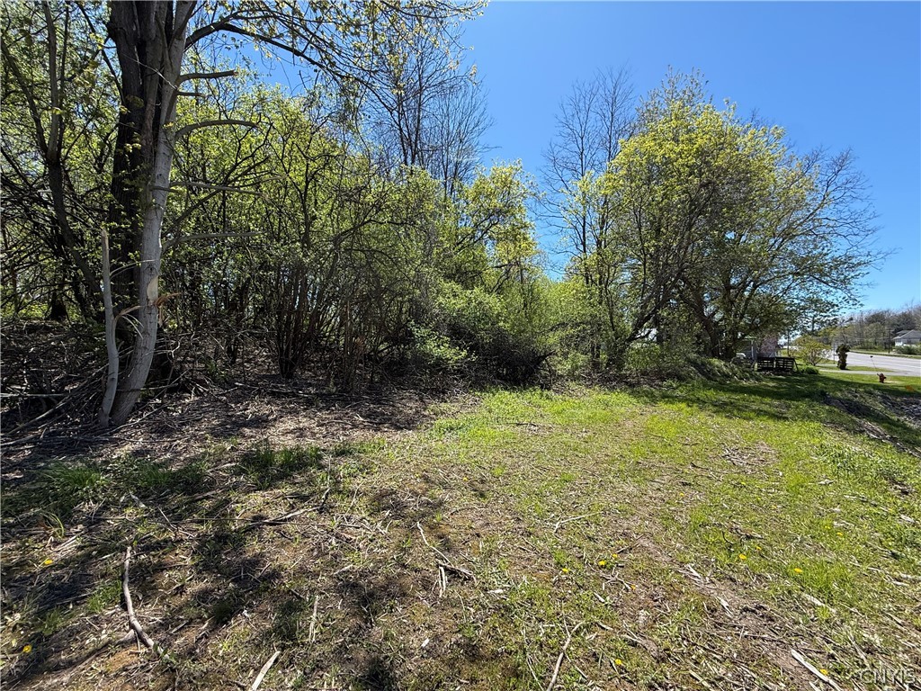 12 F Nys Route Dexter, NY 13634 - Photo 6 of 10
