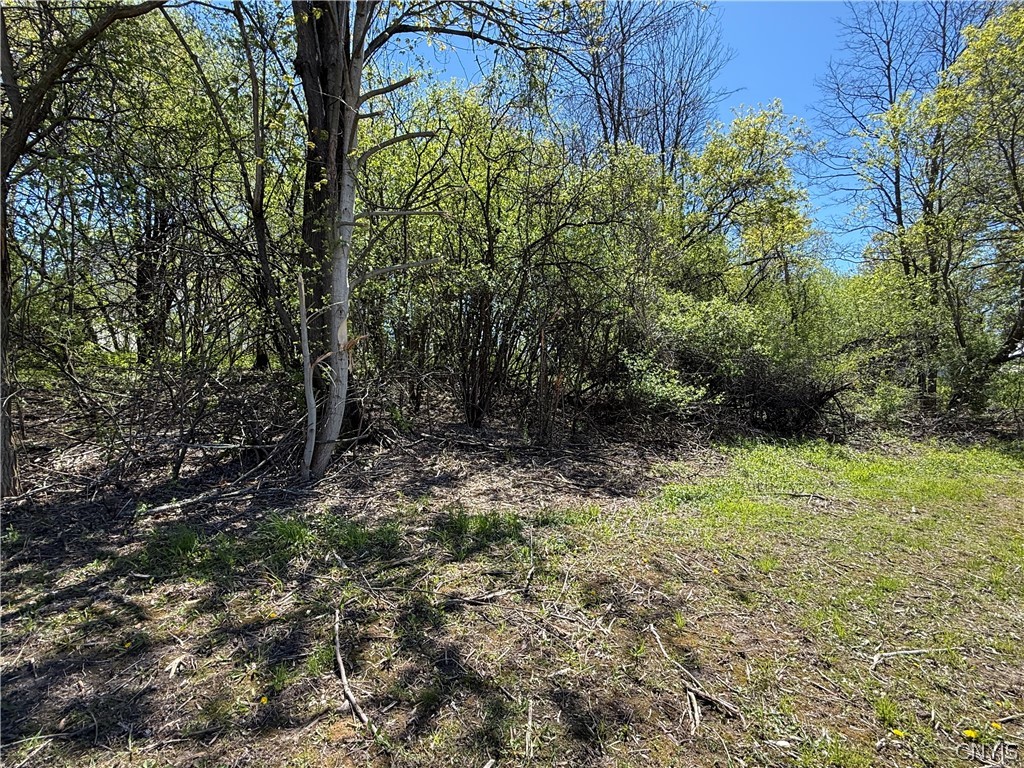 12 F Nys Route Dexter, NY 13634 - Photo 7 of 10