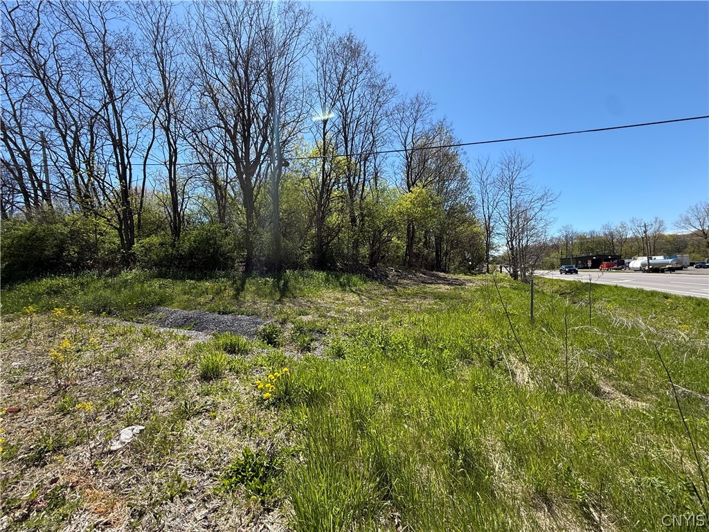 12 F Nys Route Dexter, NY 13634 - Photo 8 of 10