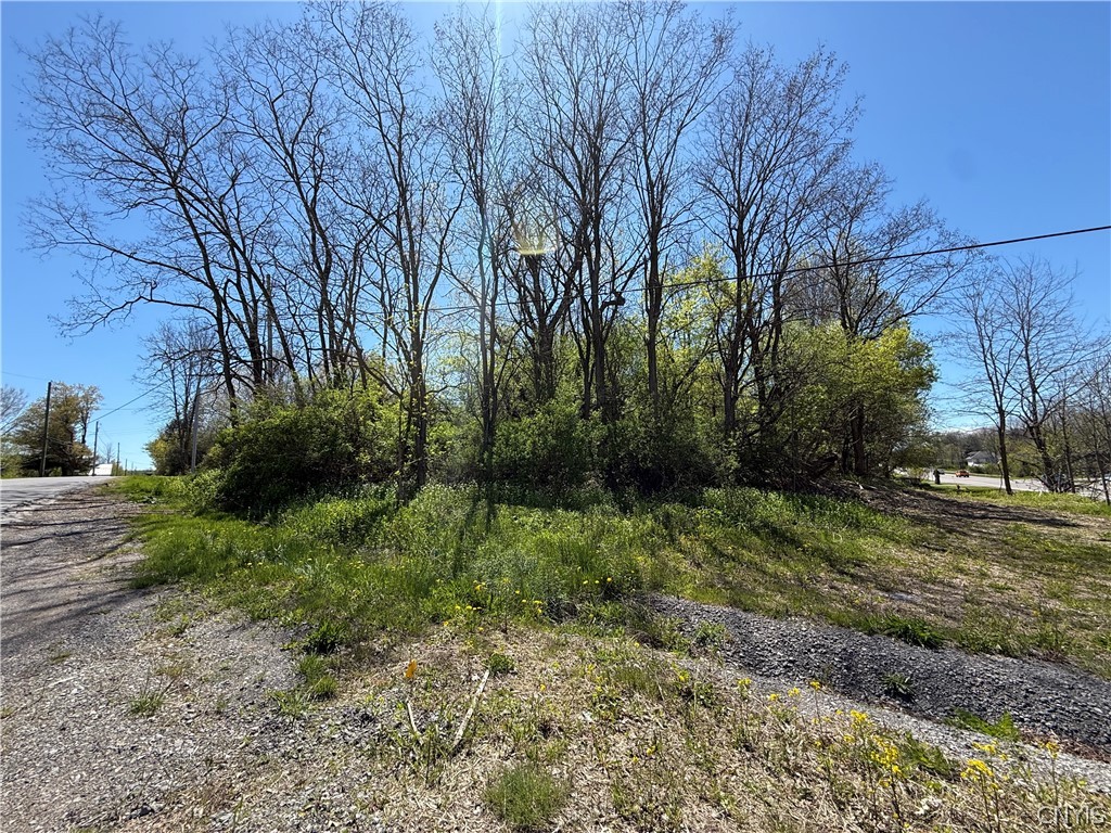 12 F Nys Route Dexter, NY 13634 - Photo 9 of 10