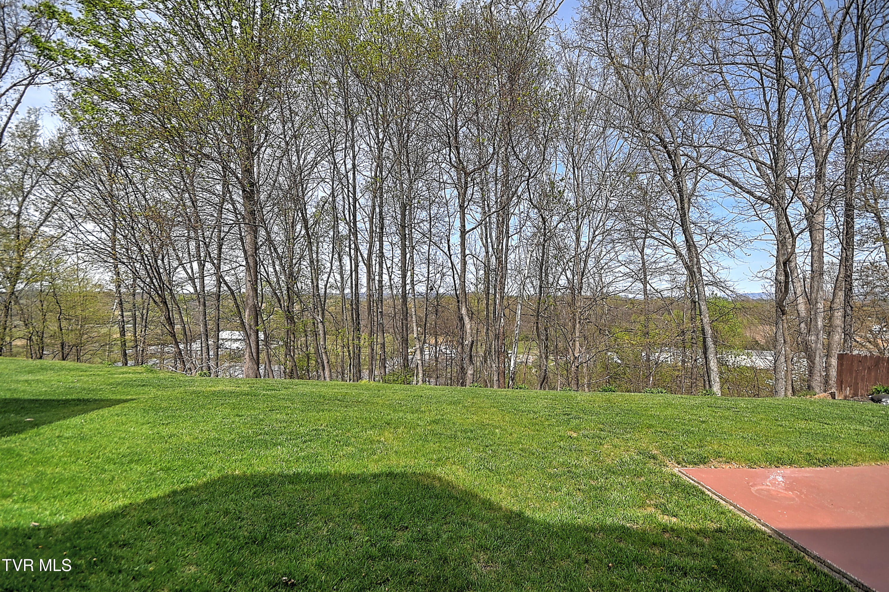 267 Alpine Trail Kingsport, TN 37663 - Photo 49 of 54 267 Alpine Trail SS-49