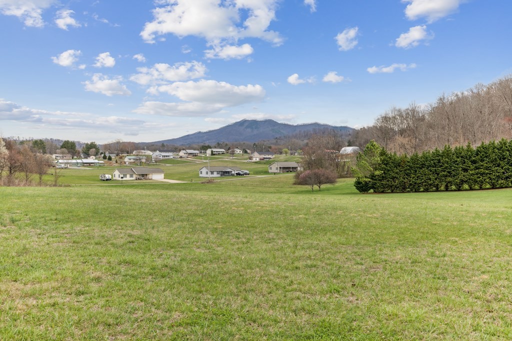 1163 Camellia Road Newport, TN 37821 - Photo 31 of 31 Gallery Image 31