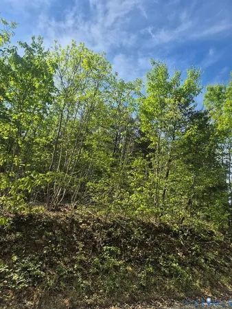 $32,000 | Lot 16 Mountain Creek Road, Green Bay, VA 23942