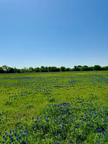 a view of a green field with an outdoor space