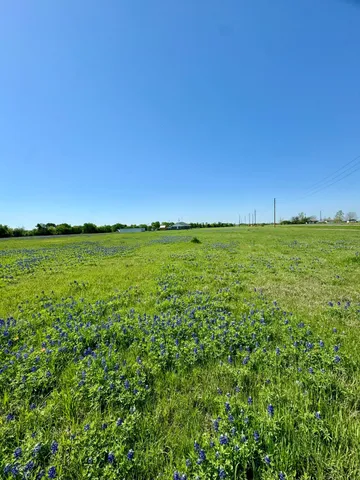 a view of a field with an ocean