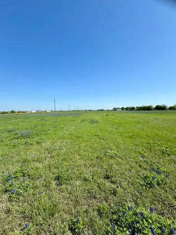 a view of a field with an ocean