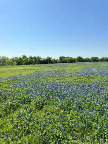 a view of a green field with an ocean view