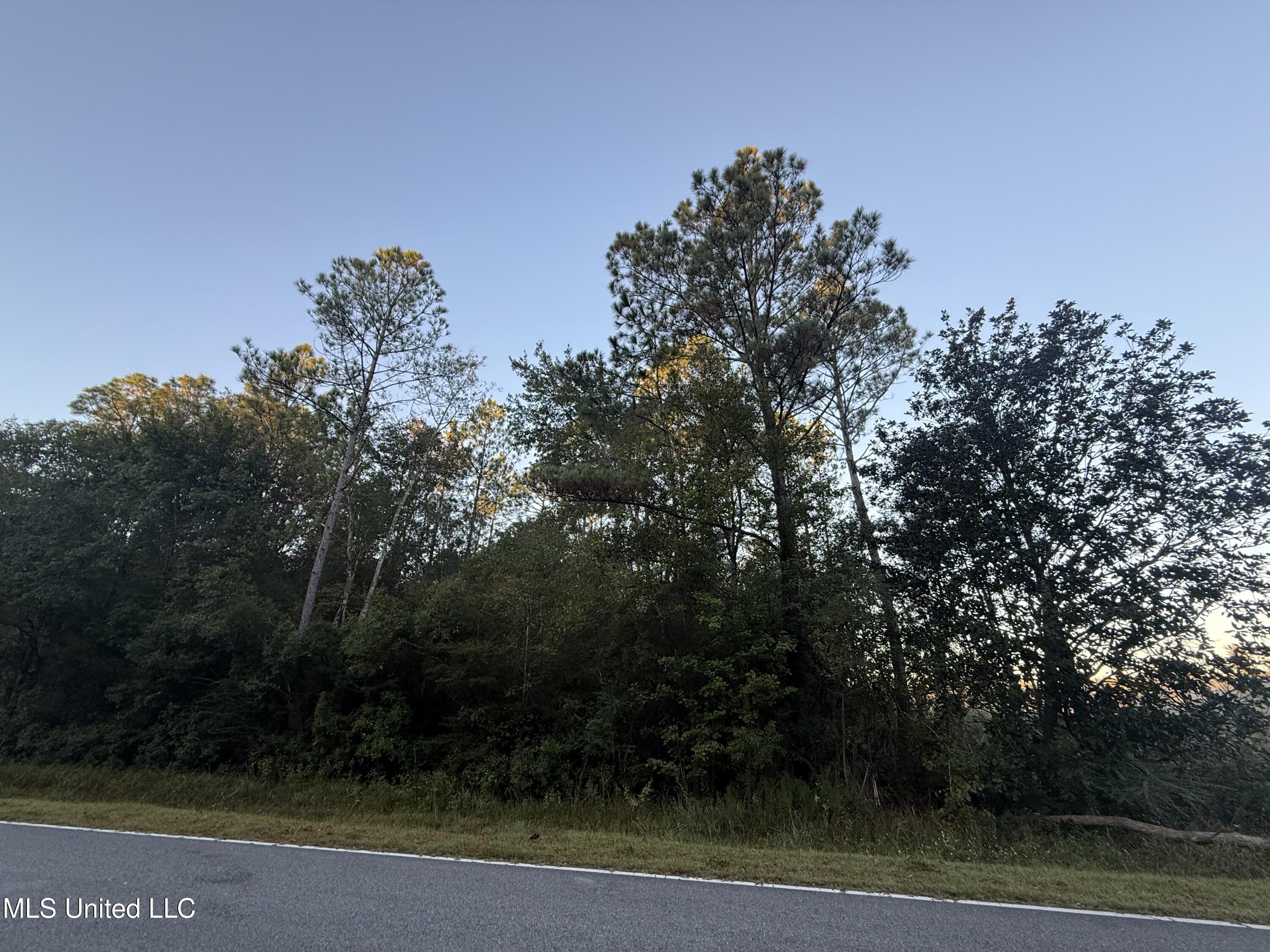 0 Jordan Road Vancleave, MS 39565 - Photo 1 of 3 IMG_0350