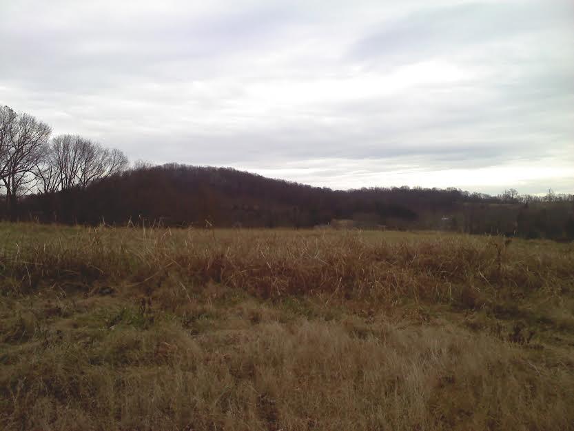1557 Highway 92 Rutledge, TN 37861 - Photo 14 of 16 morgan 2