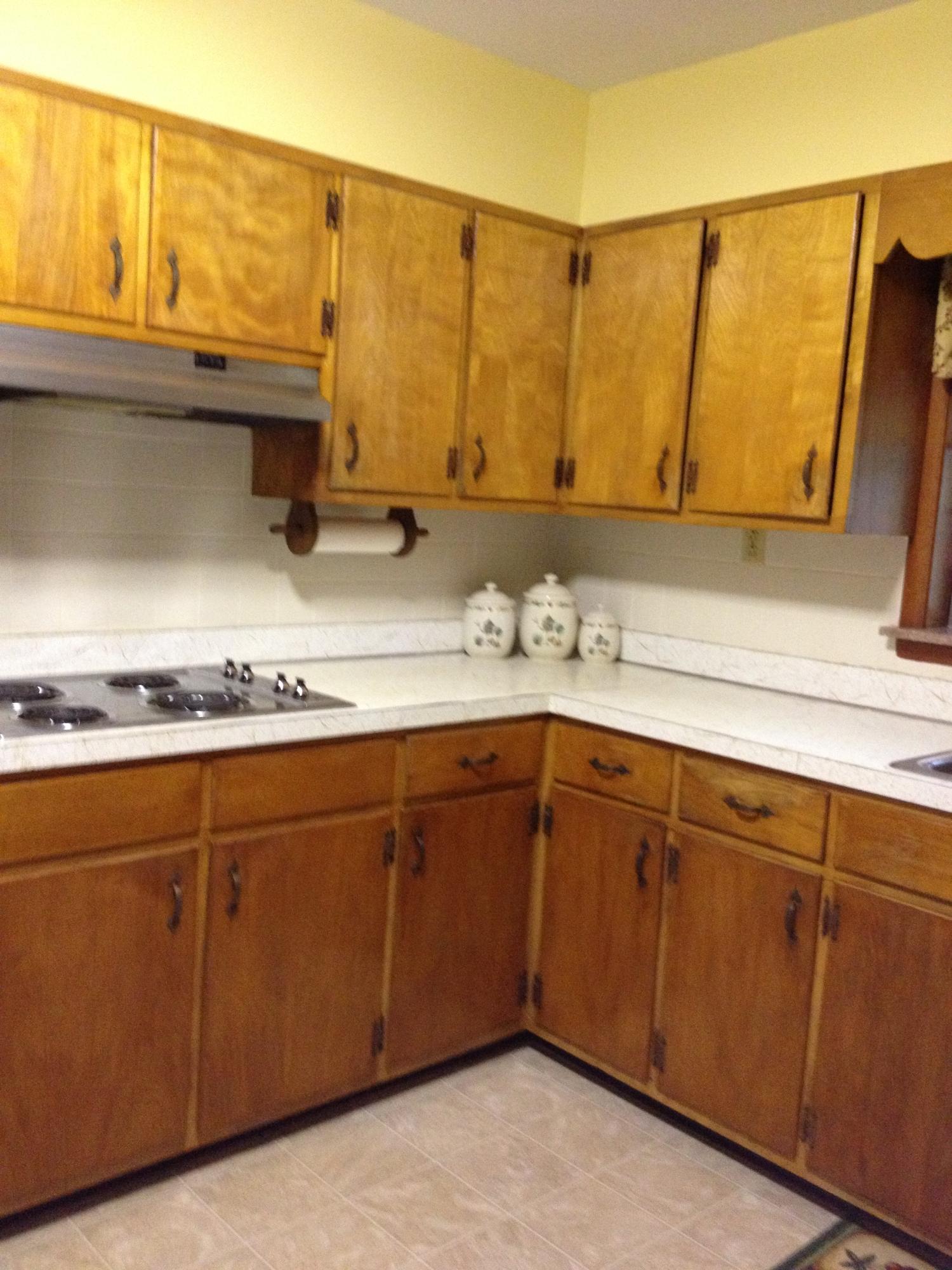 1557 Highway 92 Rutledge, TN 37861 - Photo 4 of 16 Kitchen 2