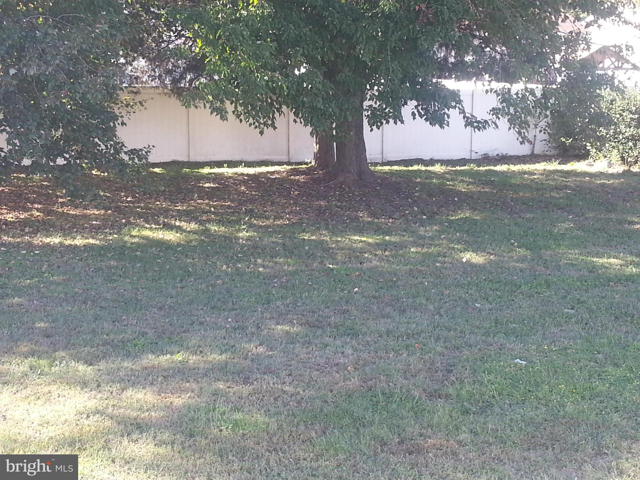 155 Lea Road Colonial Beach, VA 22443 - Photo 11 of 13 a view of a yard with a tree