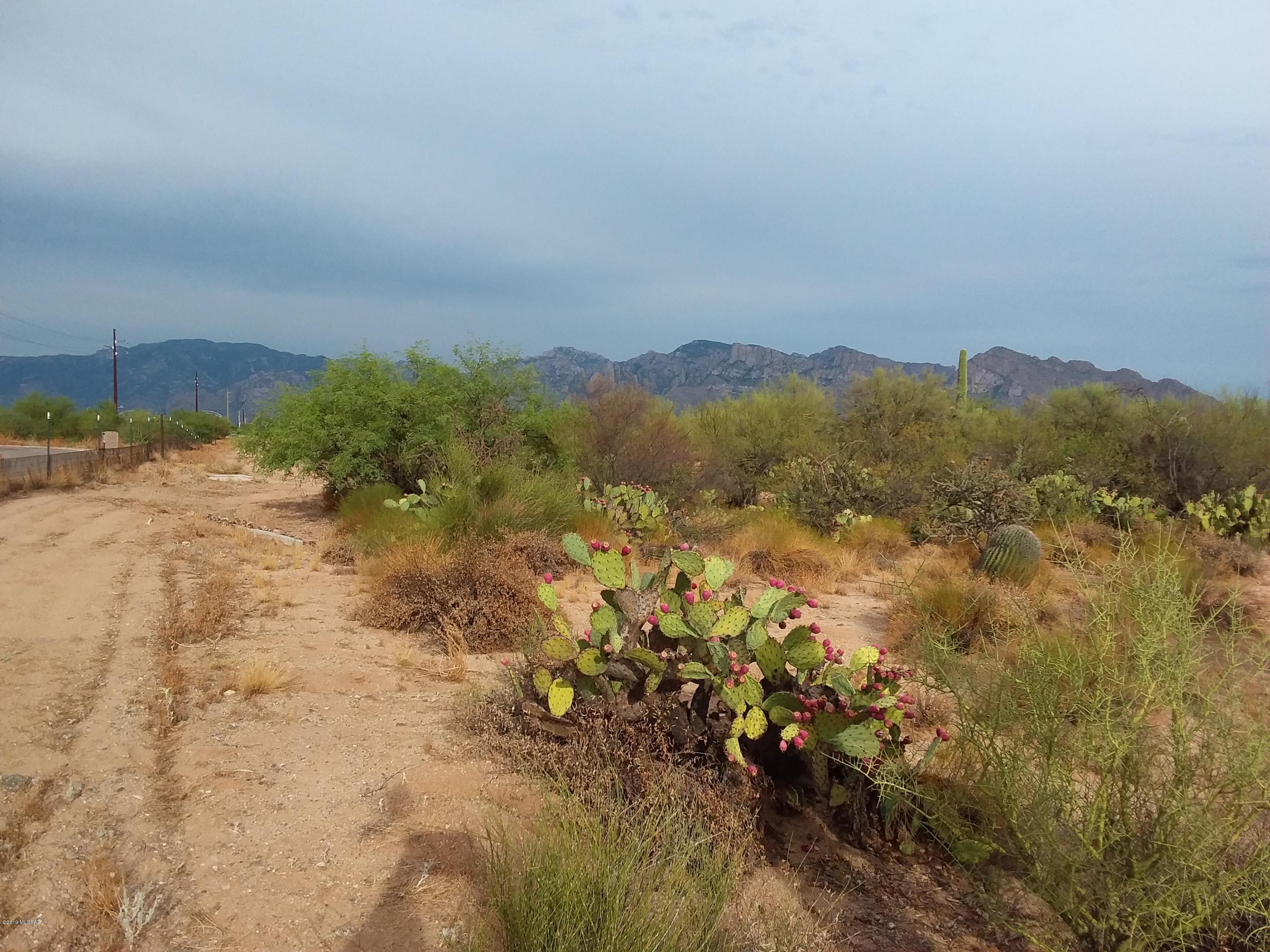 2315 West Tangerine Road Tucson, AZ 85742 - Photo 15 of 27