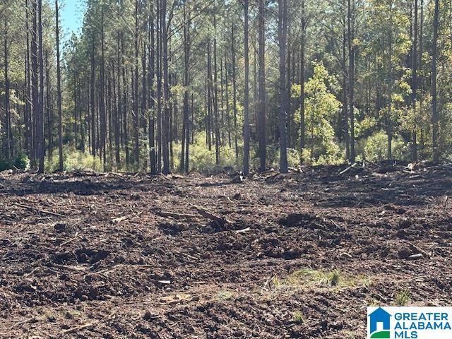 231 Us Highway Mathews, AL 36052 - Photo 17 of 22