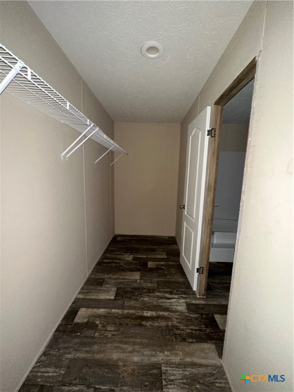 925 County Road 2629 Moore, TX 78057 - Photo 12 of 12