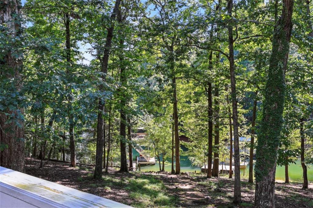 504 Sams Road Dawsonville, GA 30534 - Photo 43 of 48