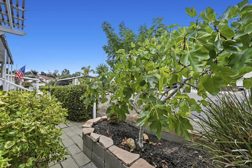 650 South Rancho Santa Fe Road, Unit 138 San Marcos, CA 92078 - Photo 36 of 47 Gallery Image 36