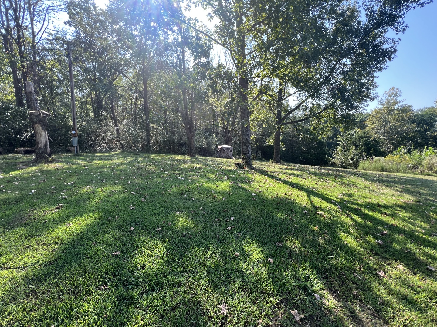 8957 Grassy Road Marion, IL 62959 - Photo 26 of 29 Gallery Image 26