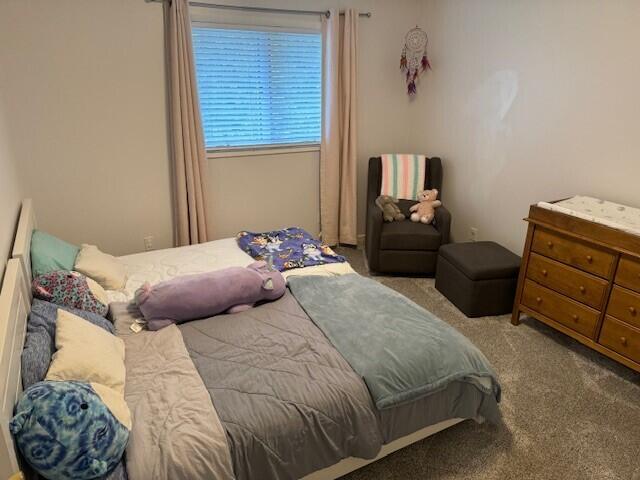 9531 South Tuori Road Dafter, MI 49724 - Photo 17 of 20 Gallery Image 17
