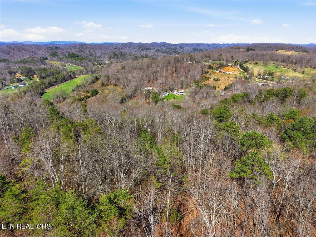 180 Hill Road Heiskell, TN 37754 - Photo 10 of 18 16-008_DJI_20260317154510_0122_D