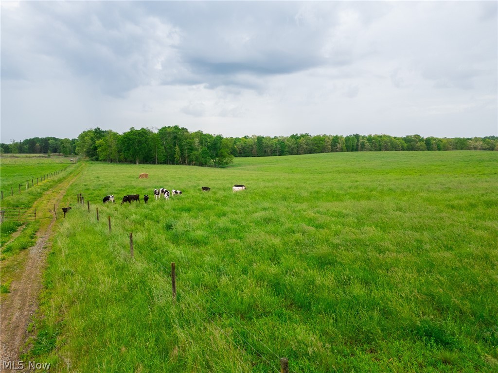 Emerick Road Summitville, OH 43962 - Photo 4 of 47