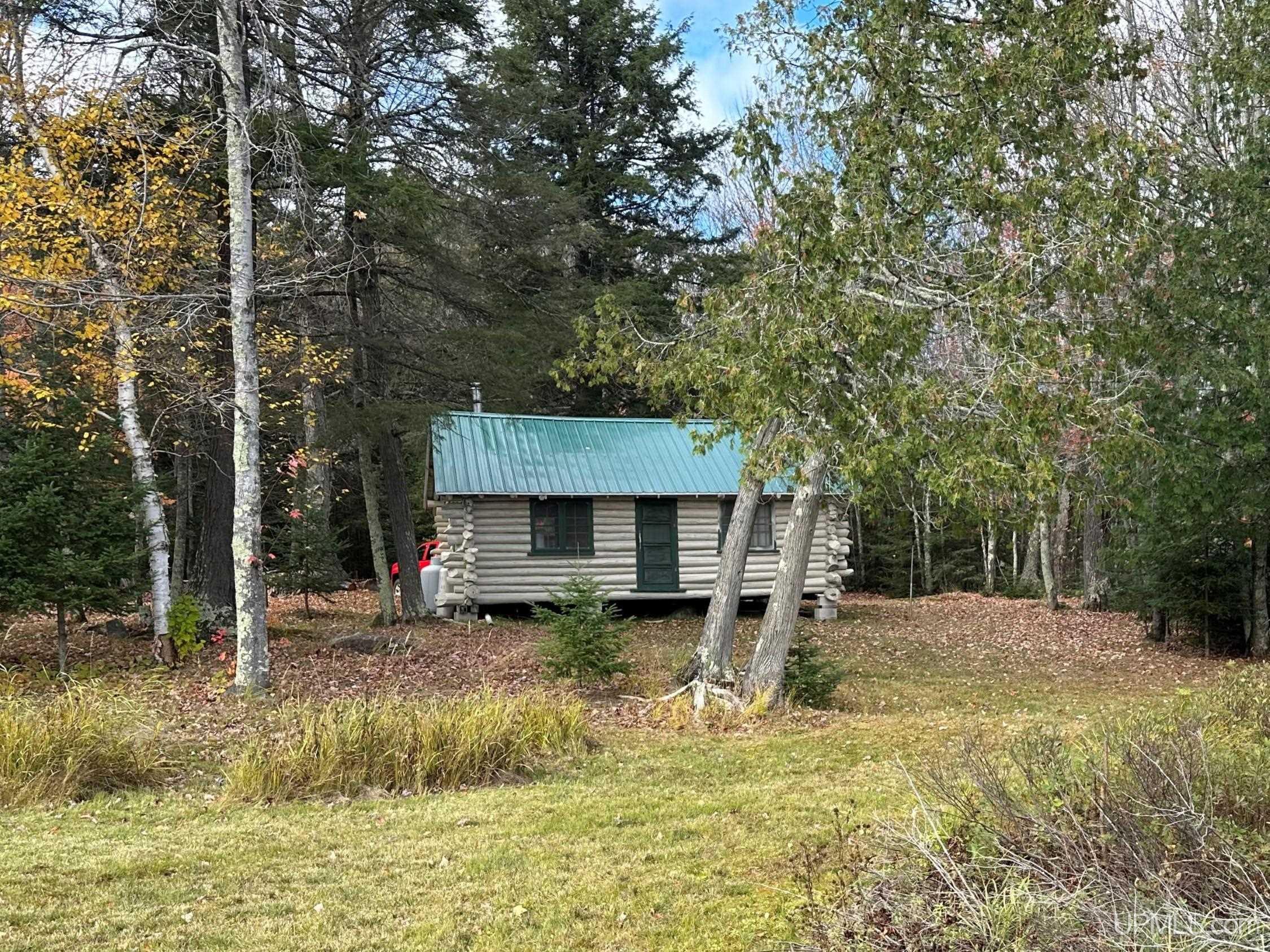 Tbd Tbd Cable Lake Road Iron River, MI 49935 - Photo 1 of 16