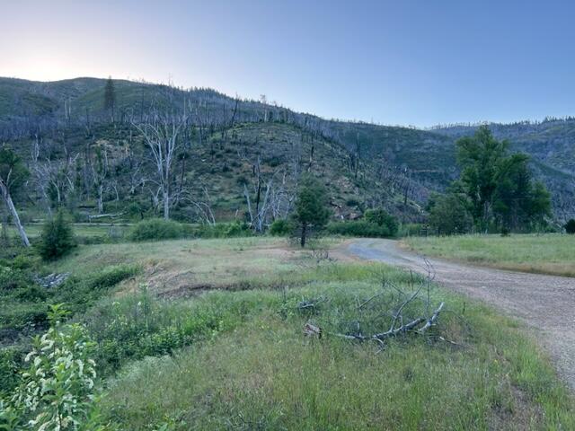 15923 Log Cabin Road French Gulch, CA 96033 - Photo 11 of 24 a view of a lush green field