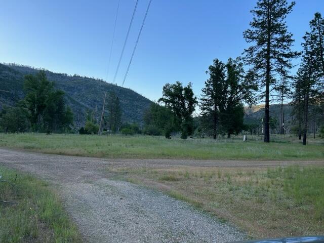 15923 Log Cabin Road French Gulch, CA 96033 - Photo 12 of 24 a view of outdoor space with green field and trees