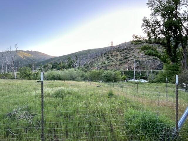15923 Log Cabin Road French Gulch, CA 96033 - Photo 13 of 24 a view of a backyard with grassy field