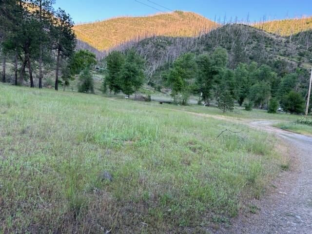15923 Log Cabin Road French Gulch, CA 96033 - Photo 14 of 24 a view of a lush green space with lots of trees