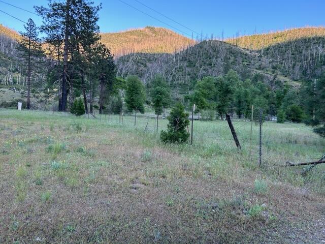 15923 Log Cabin Road French Gulch, CA 96033 - Photo 15 of 24 a view of a large yard with a tree