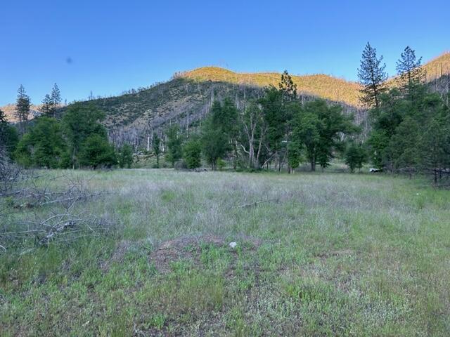 15923 Log Cabin Road French Gulch, CA 96033 - Photo 16 of 24 a view of a big yard with a mountain in the background
