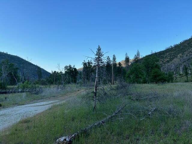 15923 Log Cabin Road French Gulch, CA 96033 - Photo 17 of 24 a view of a field with a tree in it