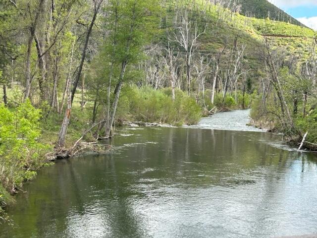 15923 Log Cabin Road French Gulch, CA 96033 - Photo 19 of 24 a view of lake