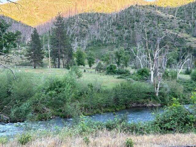 15923 Log Cabin Road French Gulch, CA 96033 - Photo 20 of 24 a view of a lush green forest with lots of trees