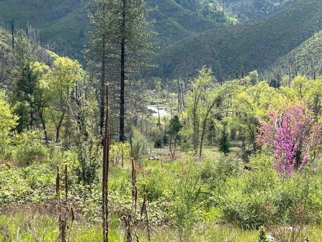 15923 Log Cabin Road French Gulch, CA 96033 - Photo 2 of 24 a bathroom with a small yard