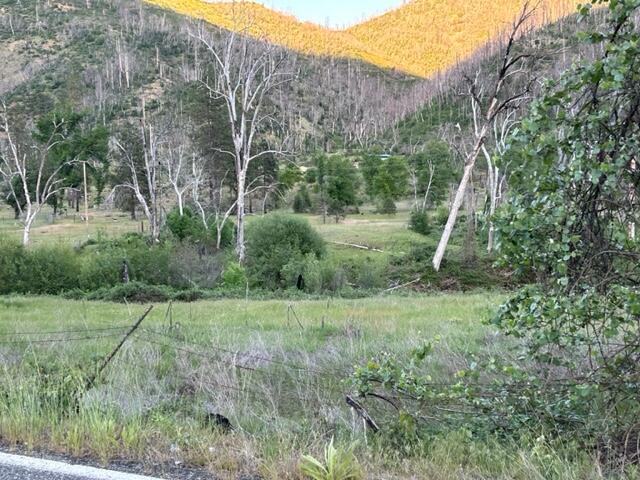 15923 Log Cabin Road French Gulch, CA 96033 - Photo 21 of 24 a view of a field with a small park