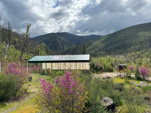 15923 Log Cabin Road French Gulch, CA 96033 - Photo 3 of 24 a view of a garden with pathway