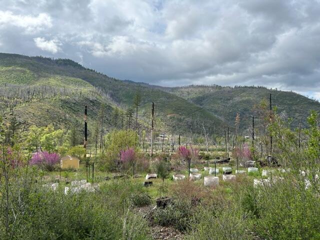 15923 Log Cabin Road French Gulch, CA 96033 - Photo 6 of 24 a view of a town with mountains in the background
