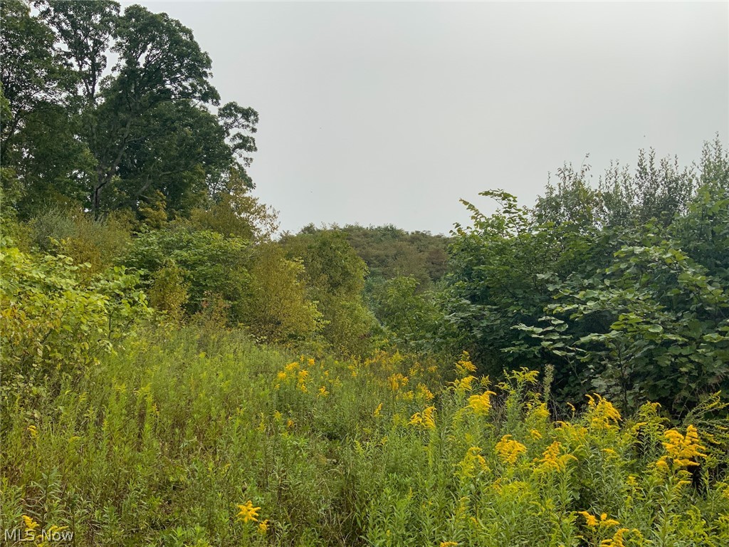 East Hysell Run Road Pomeroy, OH 45769 - Photo 23 of 33 Gallery Image 23