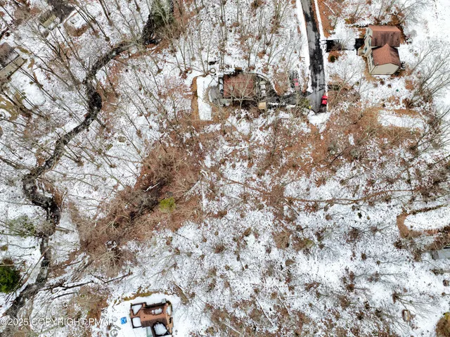 a backyard of a house with lots of trees